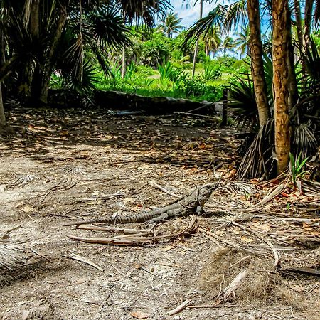 Aldea Zama Hotel Tulum Bagian luar foto